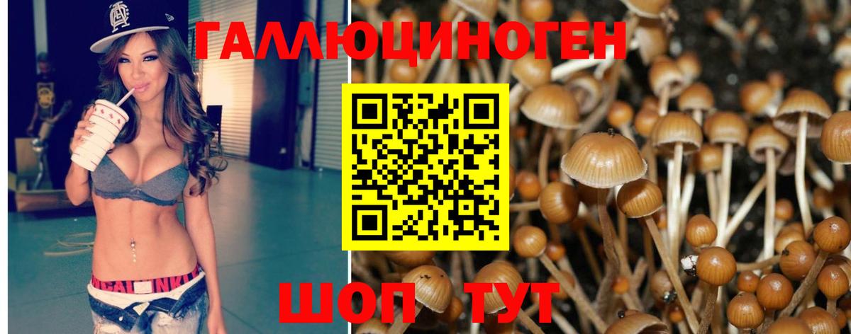 Котельники  закладка  Вход с VPN  Псилоцибиновые грибы Psilocybe  Псилоцибиновые грибы Psilocybine cubensis 